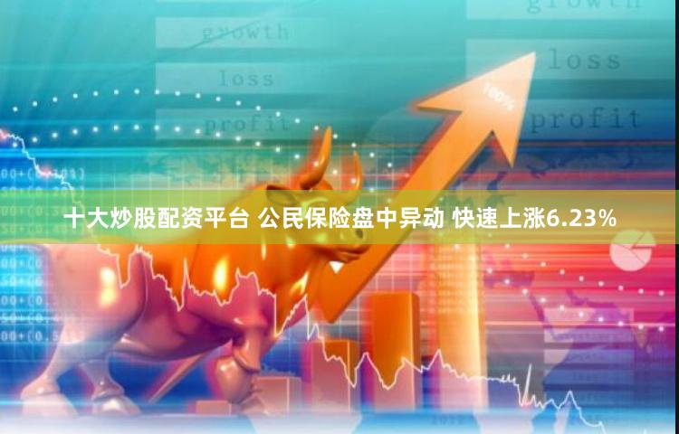 十大炒股配资平台 公民保险盘中异动 快速上涨6.23%