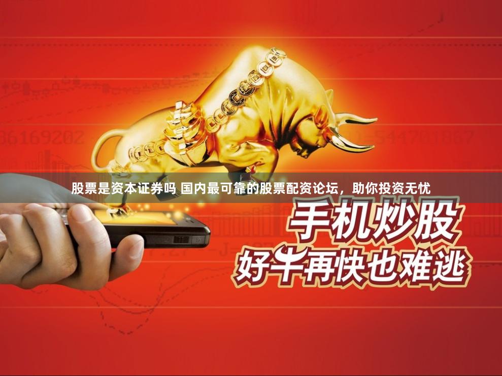 股票是资本证券吗 国内最可靠的股票配资论坛，助你投资无忧