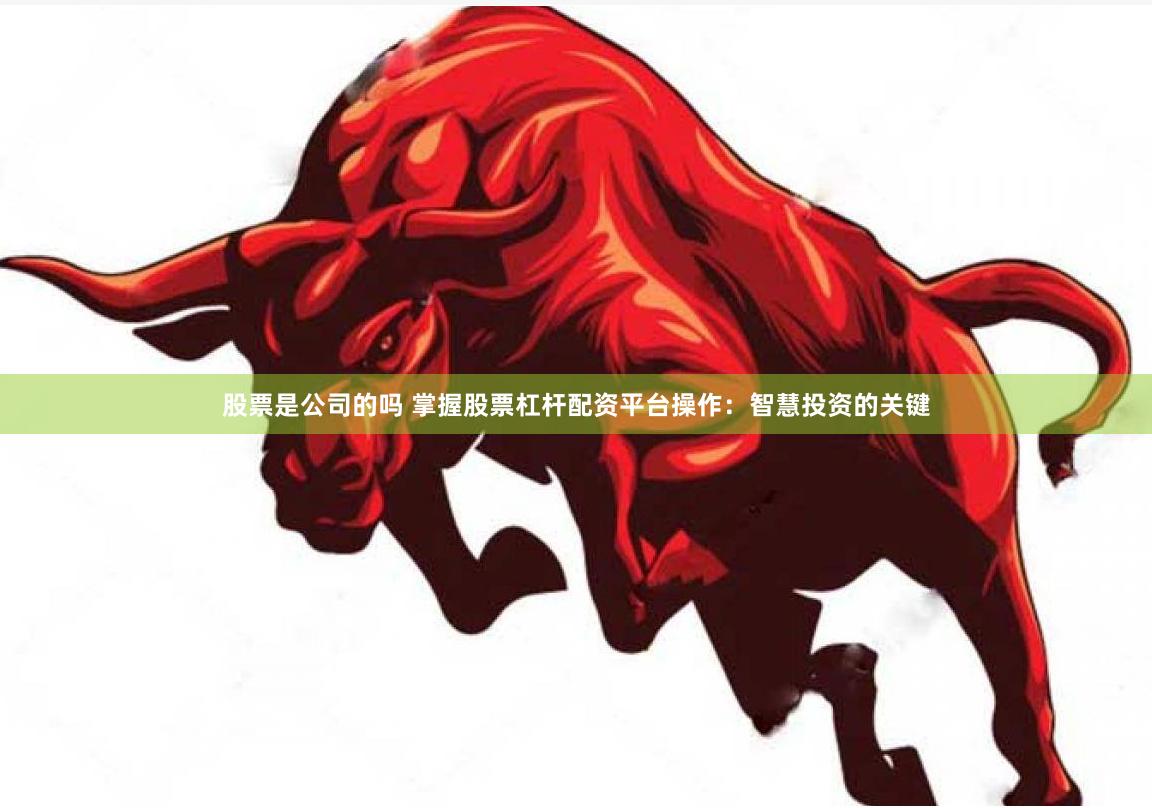 股票是公司的吗 掌握股票杠杆配资平台操作：智慧投资的关键