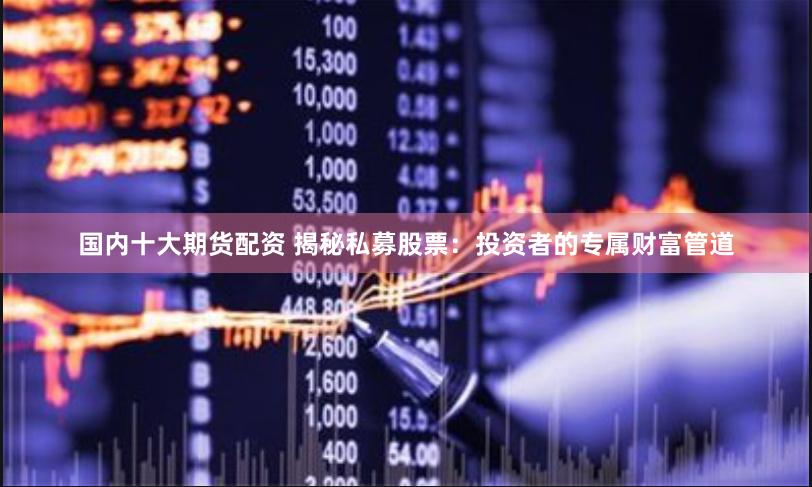 国内十大期货配资 揭秘私募股票：投资者的专属财富管道